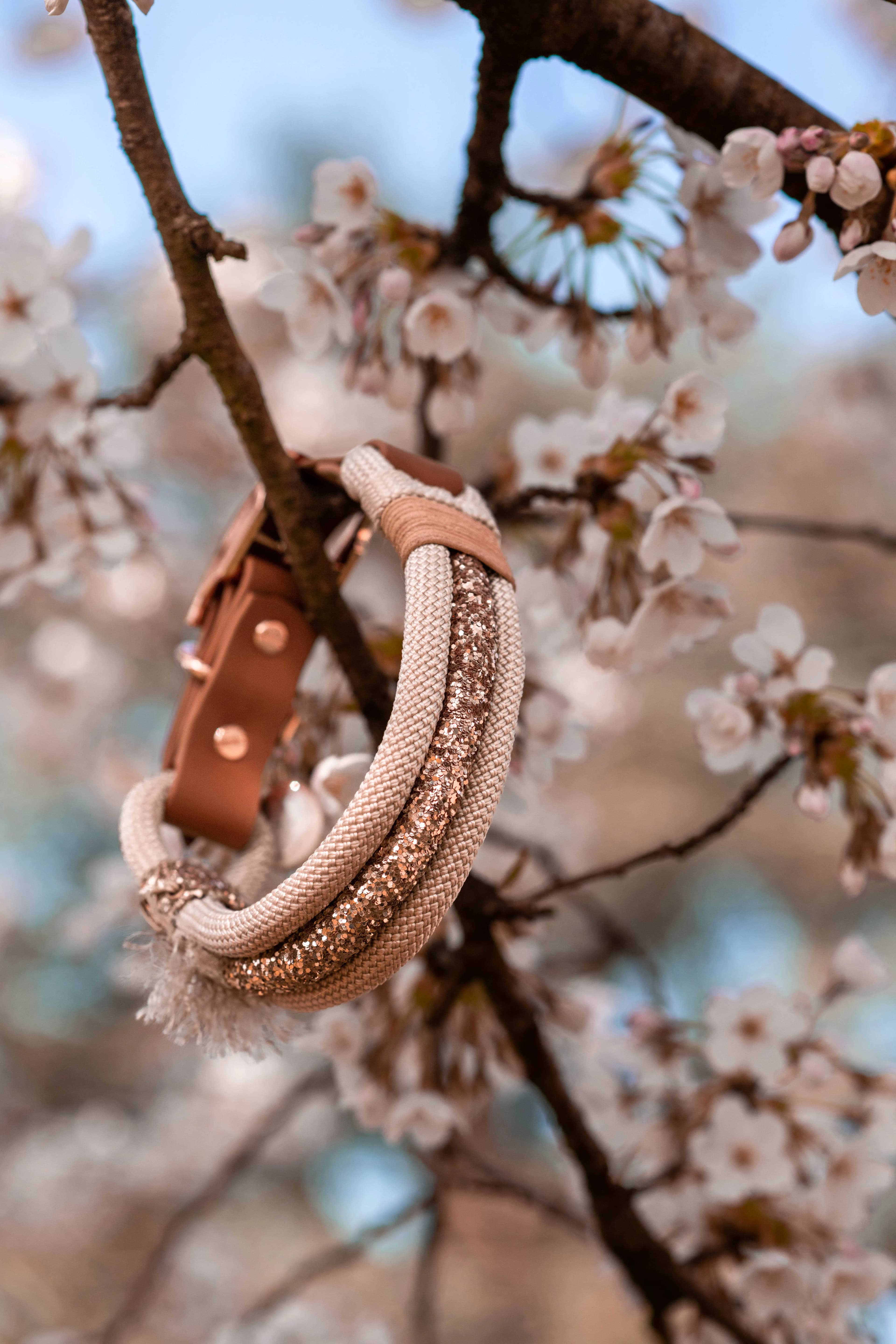 Business Fotoshooting Düsseldorf