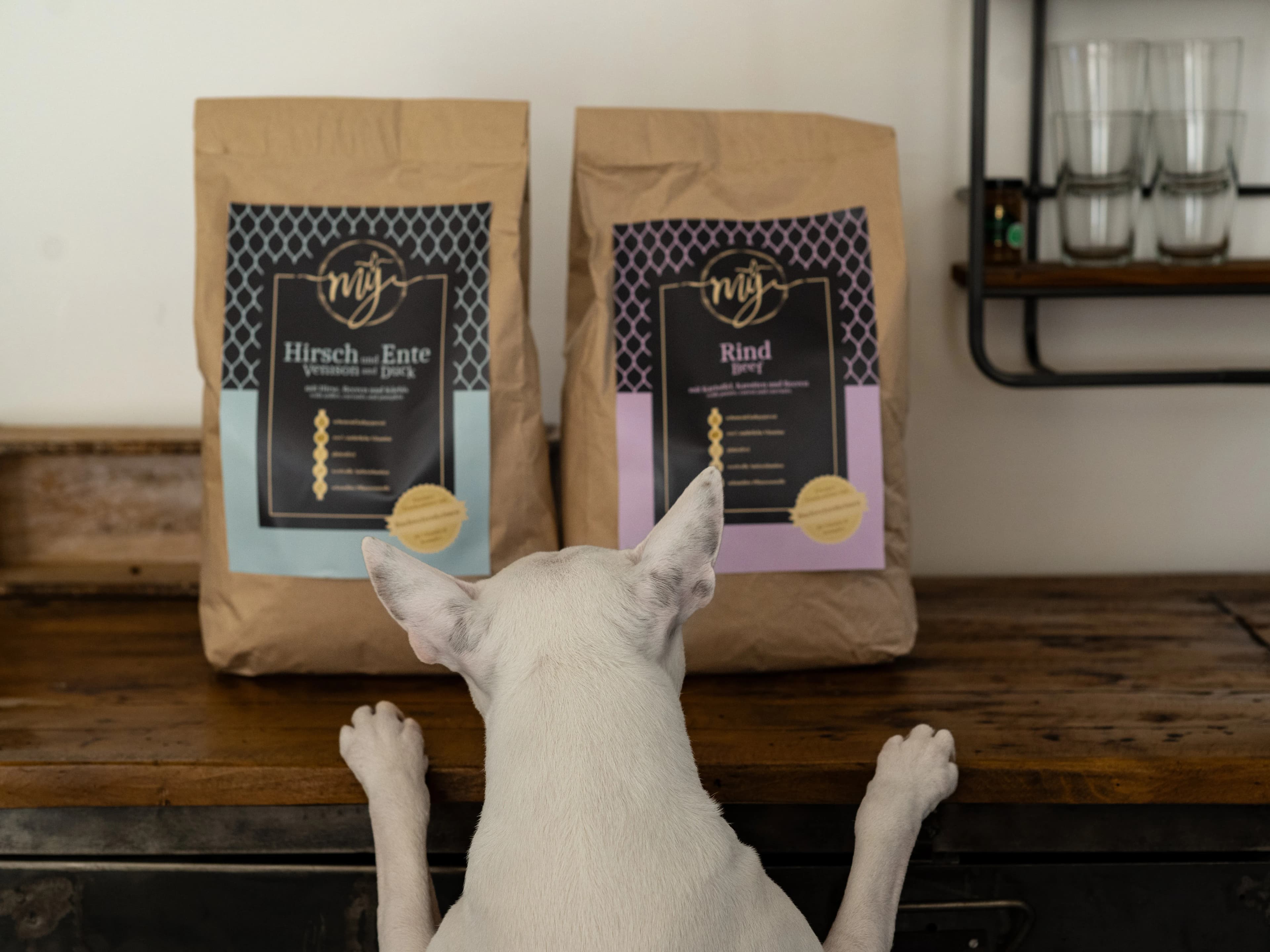 Business Fotoshooting Düsseldorf – Bild 9