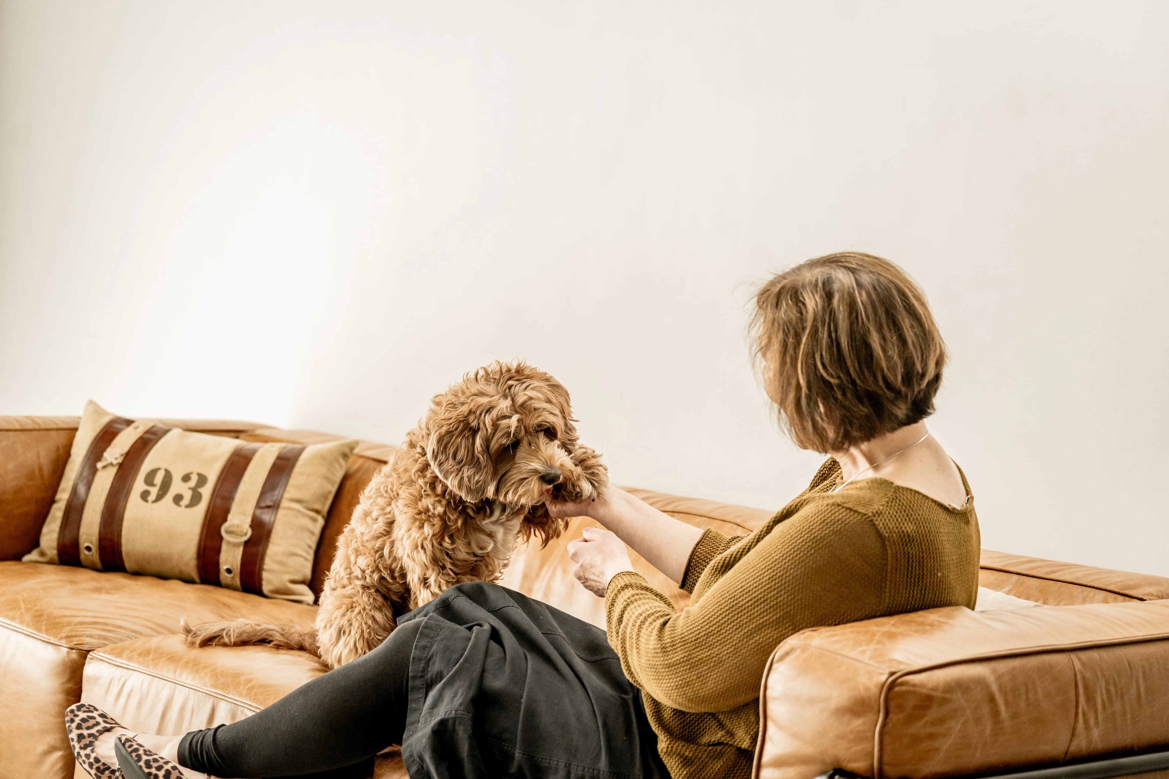 Hund & Mensch Fotoshooting Düsseldorf – Bild 16